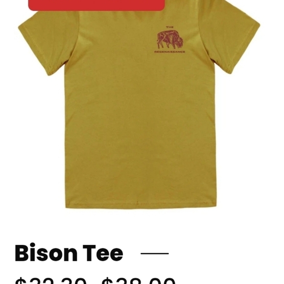 Regenaissance - Mustard  Men's T-Shirt - Picture 13 of 13